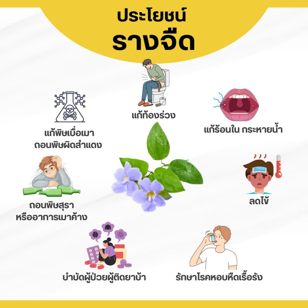 รูปภาพ 2