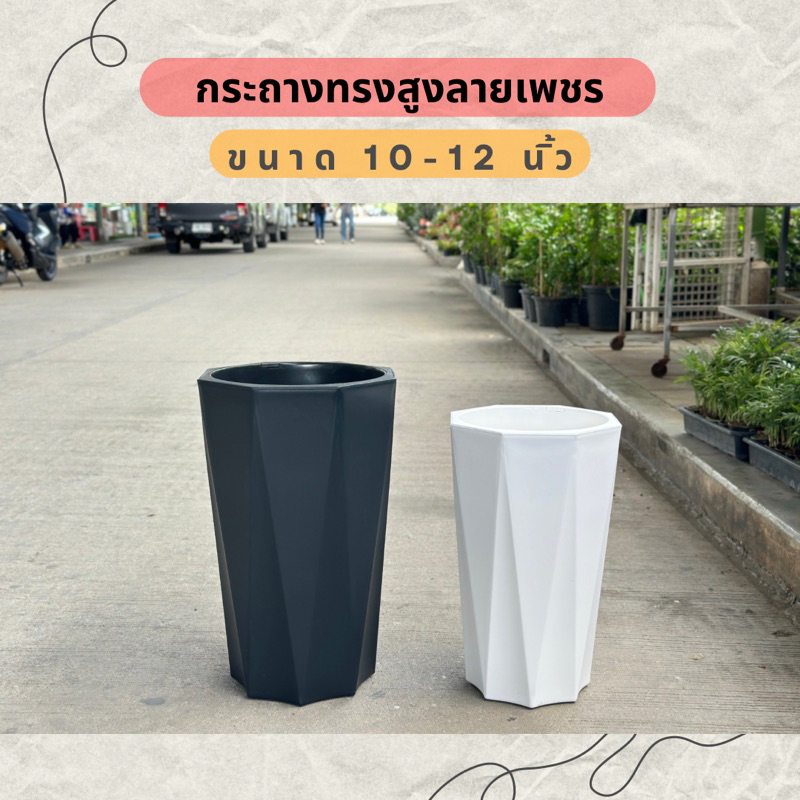 ‼️ถูก  ส่งเร็วทันใจ‼️ กระถางทรงสูงลายเพชร ขนาด 10-12 นิ้ว กระถางพลาสติกทรงสูง