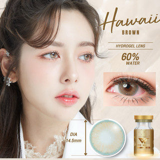 คอนแทคเลนส์ค่าสายตา Hydrogel อมน้ำ60% [ตาไม่แห้งเจ็บ] กันรังสี Wewinkฝาทอง (ขนาดกลาง) เลนส์ไฮโดรเจล คอนแทคเลนส์สีน้ำตาล