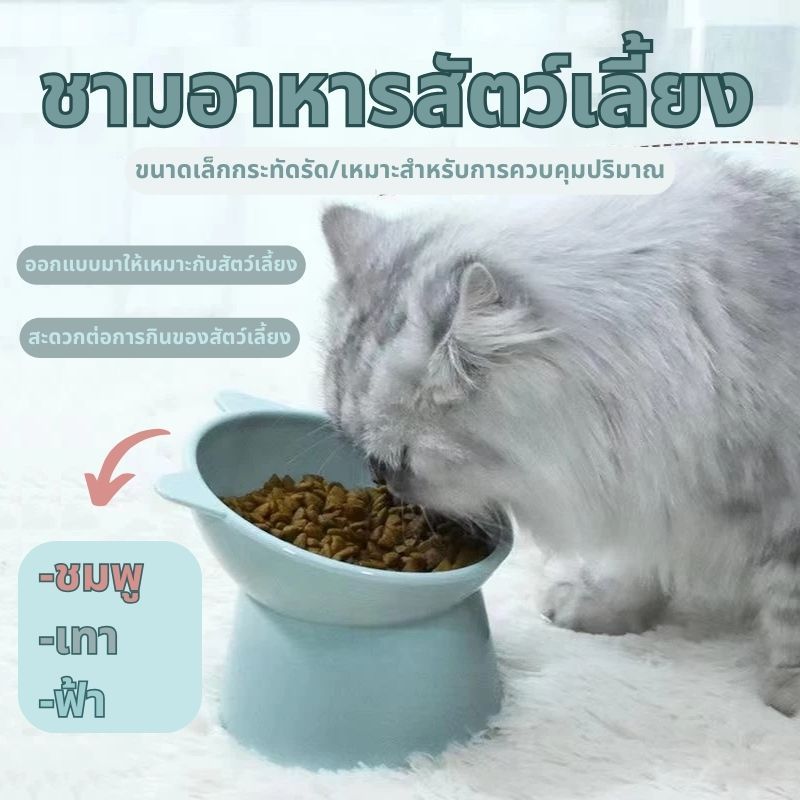 🐾ชามอาหารสัตว์เลี้ยง ชามกันมด แมว ชามอาหารแมว ชามอาหารหมา ทรงเอียง 15 องศา ป้องกันกระดูกสันหลังคอ