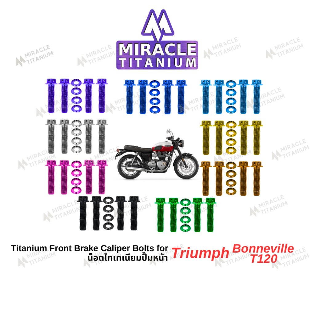 Triumph Bonneville T120 Front Breke Caliper Bolts น็อตยึดปั๊มหน้า