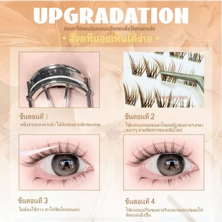 ✈️จัดส่งจากไทย✈️minijumie น้องไอด้อลสีน้ำตาล มีกาวในตัว ขนตาปลอมแบบมีกาวในตัวที่ใช้ซ้ำได้ 120 ช่อ