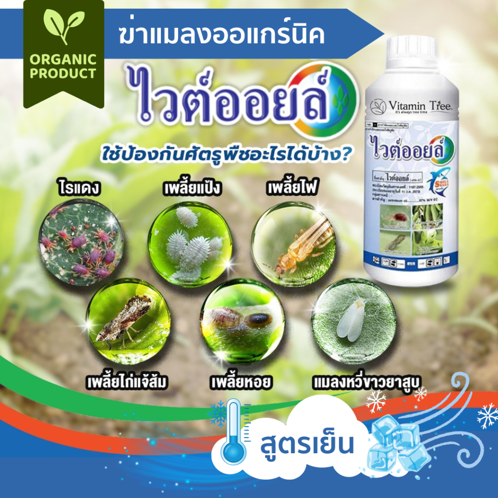 ไวต์ออยล์ สูตรเย็น 1ลิตร กำจัดแมลง คุมไข่ เพลี้ย แมลงหวี่ ไร เคลือบผิวแมลง vite oil ไวต์ออย