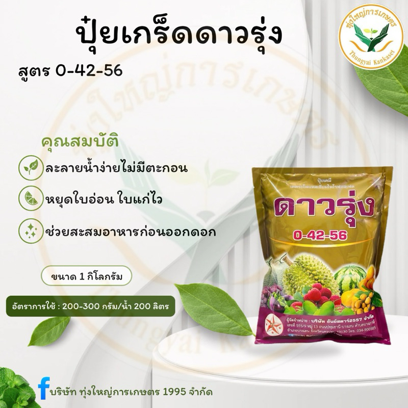 ปุ๋ยเกร็ดดาวรุ่ง 0-42-56 ขนาด 1 กิโลกรั ละลายน้ำง่าย คุณภาพสูง
