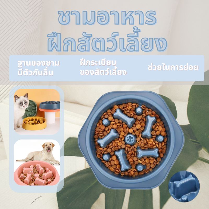 🐾ชามอาหารสัตว์เลี้ยง ชามกันสำลัก  ลดการกินไว ชามฝึกกินช้า กันมูมมาม