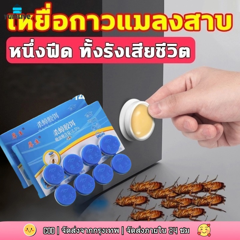 กำจัดแมลงสาบ ตุยยกทั้งรัง ยากำจัดแมลงสาบ เจลกำจัดแมลงสาบ  กำจัดแมลงสาบทุกชนิด มี 8 แคปซูล
