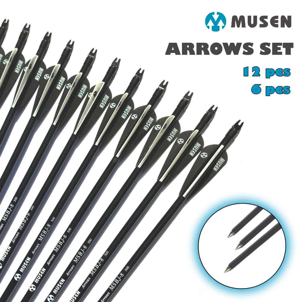 6 /12pcs 80cm Spine 500 MSBJ-8 Fiberglass Arrows with unchangeable Arrow Head for Compound Bow Target Practice Shooting