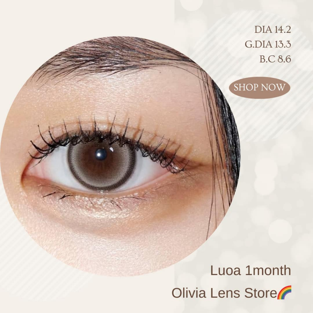 myfipn Luoa Neutral คอนแทคเลนส์เกาหลี คอนแทคเลนส์รายเดือน