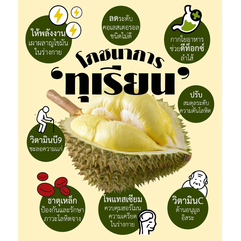 ต้นทุเรียนหมอนทองเสริมราก (สูง 100-120cm) ต้นแข็งแรง พร้อมปลูก ราคา ถูกที่สุด ดีลบีเคเค แกลเลอรีภาพที่ 4