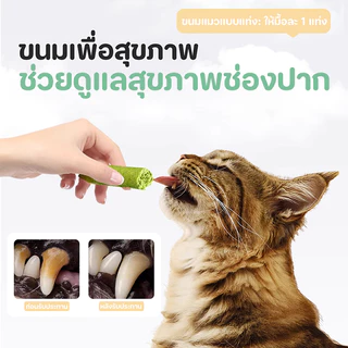 🥇หญ้าแมว🥇หญ้าแมวอัดแท่งหญ้าแมวฟรีซดราย ทำจากต้นอ่อนข้าวสาลีผสมอกไก่และแซลม่อน ขนมแมว ช่วยสำรอกก้อนขน ช่วยขัดฟัน เพื่อกำจ