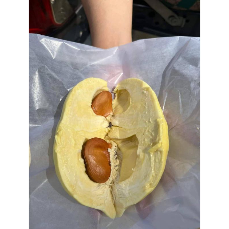 ปุ๋ยเจซี 633 อินทรีย์เคมีเคลือบแคลเซียมสูงผสมซิลิกานาโนซื้อครั้งละ 1 กระสอบขนาด 25 กิโลกรัม - รูปที่ 4