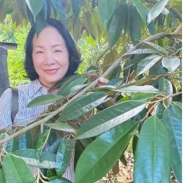 ปุ๋ยเจซี 633 อินทรีย์เคมีเคลือบแคลเซียมสูงผสมซิลิกานาโนซื้อครั้งละ 1 กระสอบขนาด 25 กิโลกรัม - รูปที่ 2