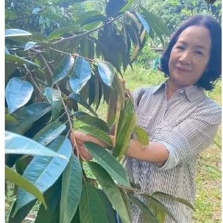 ปุ๋ยเจซี 633 อินทรีย์เคมีเคลือบแคลเซียมสูงผสมซิลิกานาโนซื้อครั้งละ 1 กระสอบขนาด 25 กิโลกรัม - รูปที่ 3