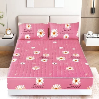 ผ้าปู ลายน่ารัก พร้อมส่ง ผ้าปูเสริมใยหนานุ่ม ผ้าปู+ปลอกหมอน