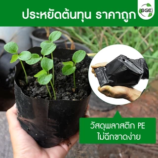 SGE ถุงเพาะชำ ถุงดําปลูกต้นไม้ รุ่น POT-D มีทุกขนาด ส่งไว เนื้อมัน เหนียว หนา ไม่ฉีกขาดง่าย คุณภาพดี