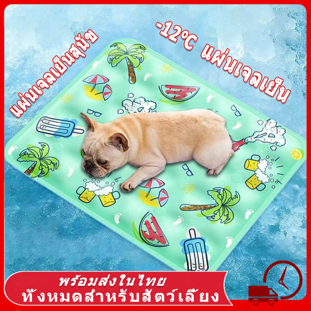 🧊 ที่นอนเจลเย็น แผ่นเจลเย็น แมว เบาะนอนเย็น ที่นอนแมว ที่นอนเย็น สัตว์เลี้ยง เบาะนอนสุนัข แผ่นเจลเย็นแมวสุนัข ที่นอนแม