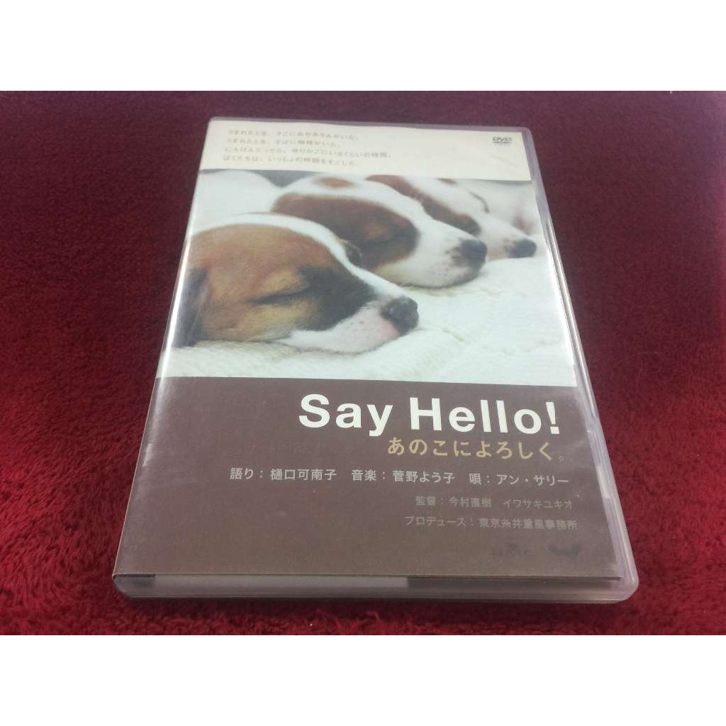 DVD สากล Say Hello! Say hello to that person. สภาพตามรูปปก ZD25-49