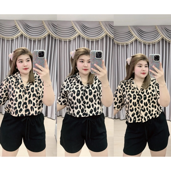 C73 เชิ๊ตคอปกครอปลายเสือ อก 44"-48"-52"