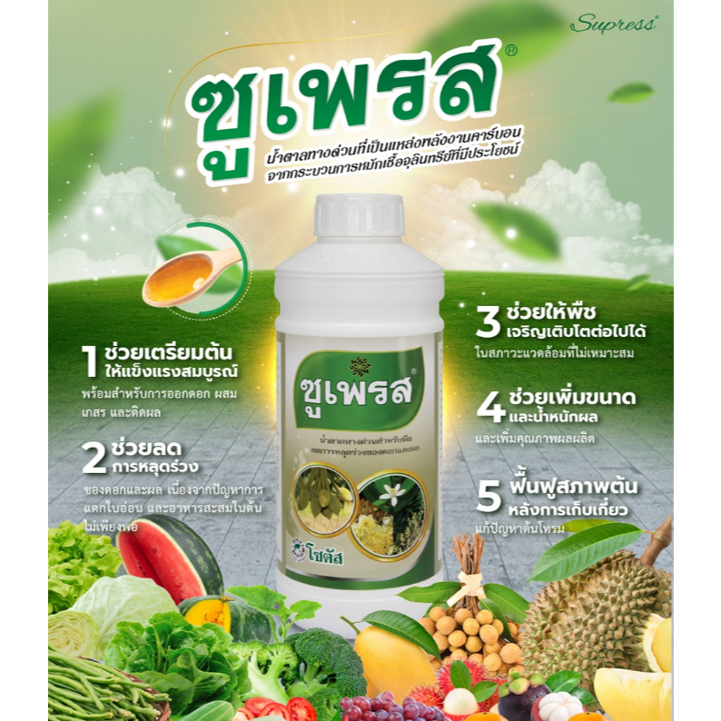 ราคาส่ง💥 ซูเพรส = น้ำตาลทางด่วน 💥1ลิตร ดูดซึมทันที ต้นแข็งแรงสมบูรณ์ ลดการหลุดร่วงของดอก เพิ่มผลผลิต ขนาด เพิ่มน้ำหนัก