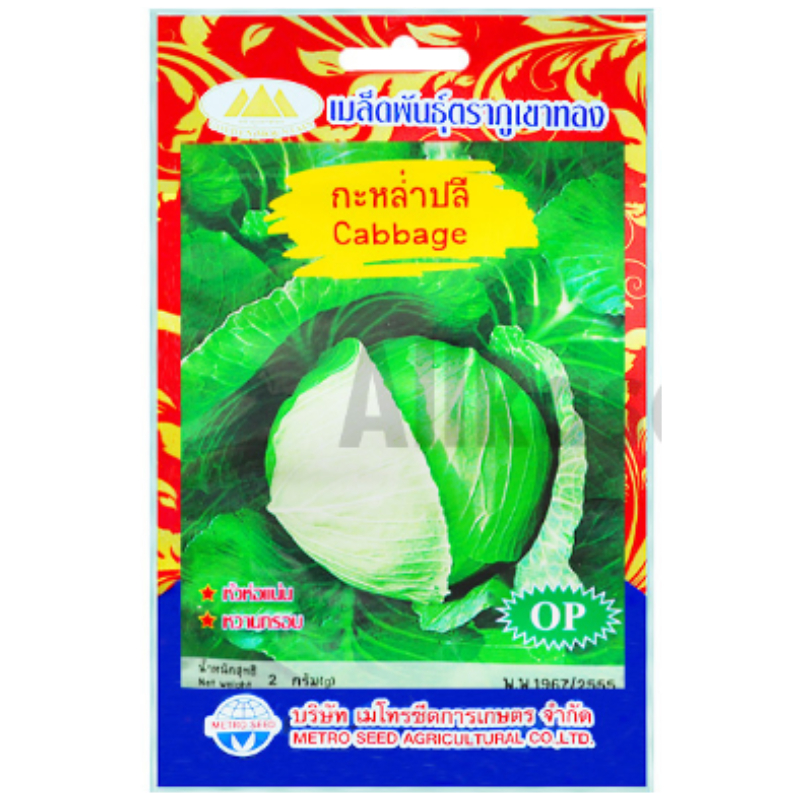 เมล็ดพันธุ์กะหล่ำปลี ตราภูเขาทอง