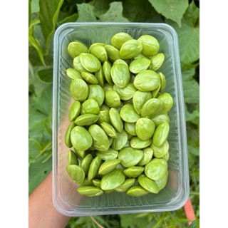 สะตอข้าวแกะ สด ๆ 500กรัม