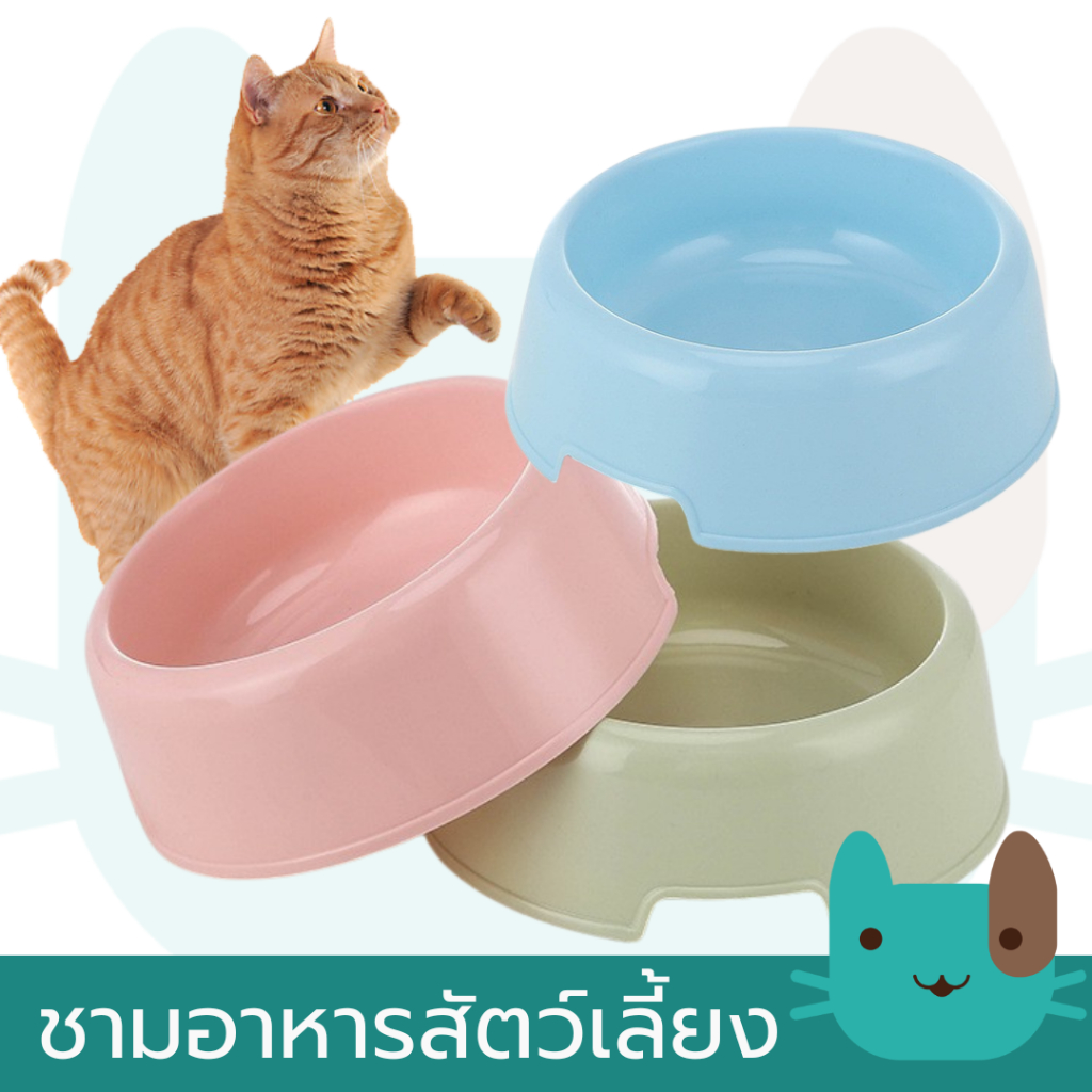 ชามอาหารพลาสติก กลม 1 ช่อง ชามอาหารหมา ชามอาหารแมว ชามอาหารสุนัข โทนสีพาสเทล Small Pet Bowl Flat Color