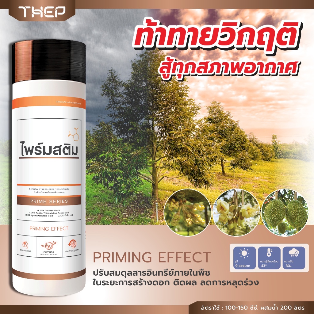 ไพรม์สติม 1.5ลิตร เทพวัฒนา อะมิโน ขั้วเหนียว สู้แดด ทนฝน ช่วยลดการหลุดร่วง