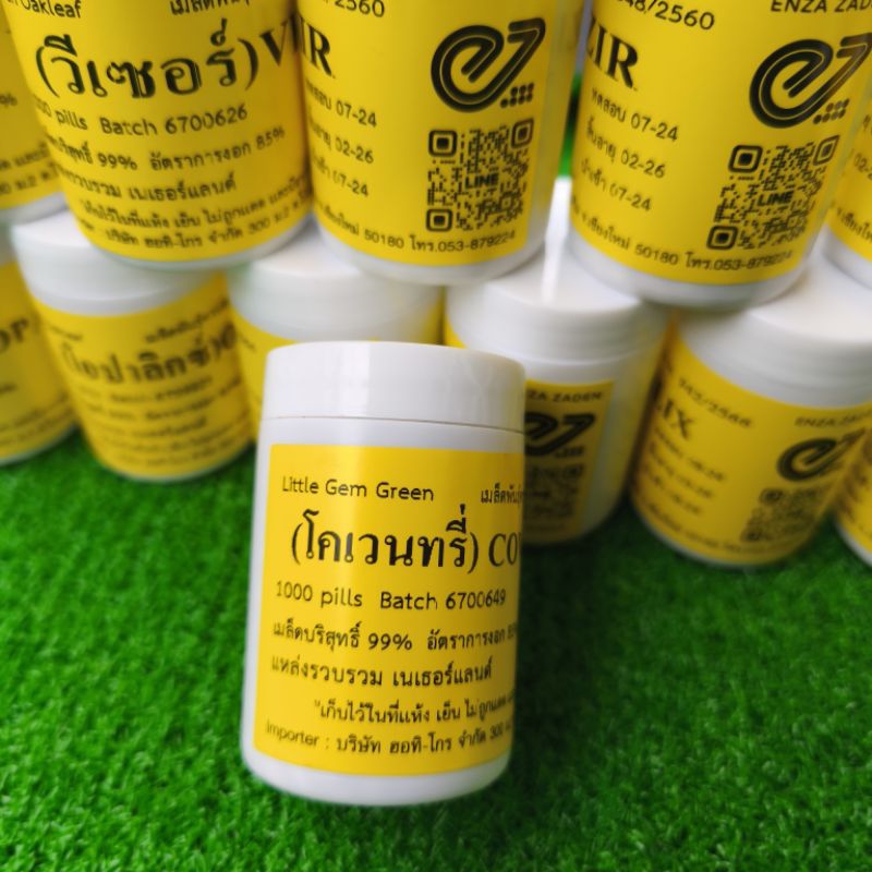 เมล็ดพันธุ์ผักสลัด ชนิดเคลือบ ENZA ZADEN แบ่งบรรจุ 100 เมล็ด - รูปที่ 4