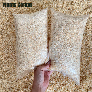 Plants Center ขี้เลื่อย เนื้อนิ่ม ธรรมชาติ100% ซื้อ10ถุงราคาถุงละ ต้นสนนิวซีแลนด์