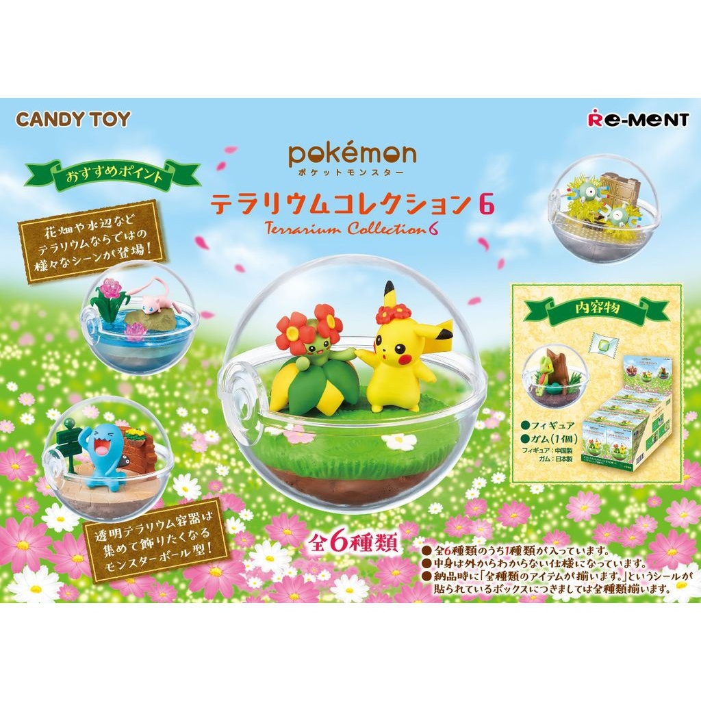 Rement Pokemon Terrarium Collection vol.6 (6 Packs/Box)