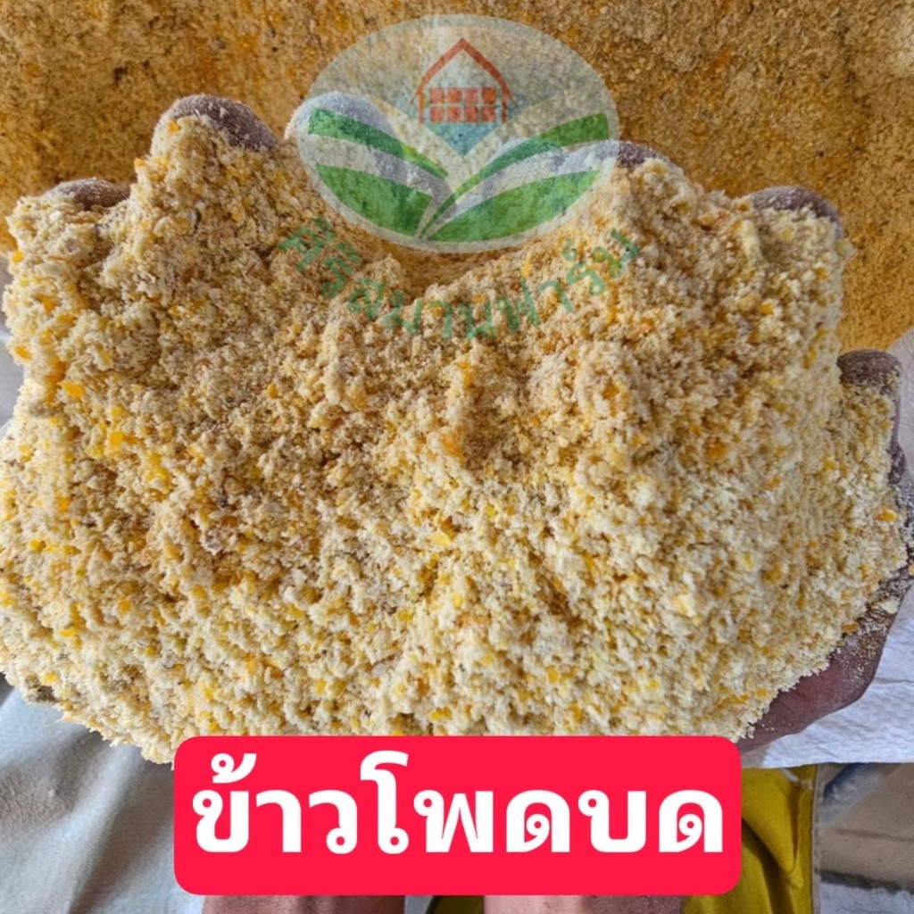 ข้าวโพดบดคุณภาพดี เกรดอาหารสัตว์ ผสมอาหาร หมู ไก่ ปลา เป็ด วัว  กลิ่นหอมเพิ่มการกินของสัตว์ ขนาด5,10,15,20 กิโลกรัม