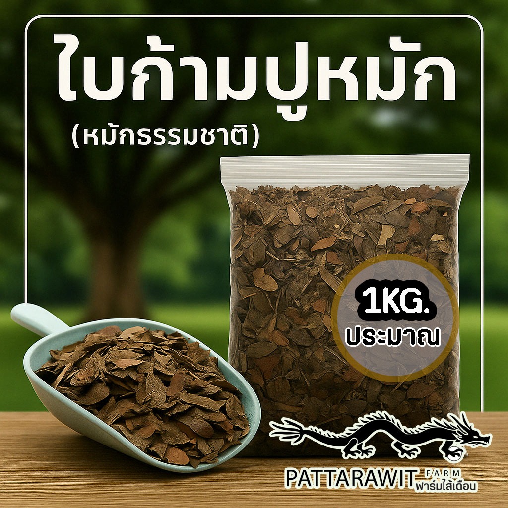 (2ถุง50)(5ถุง100)ใบก้ามปูหมัก ใบไม้ไม้หมัก ธรรมชาติ ขนาดประมาณ 1 กิโลกรัม ไนโครเจนสูง เพิ่มความร่วนซุย เป็นวัตถุอินทรีย์
