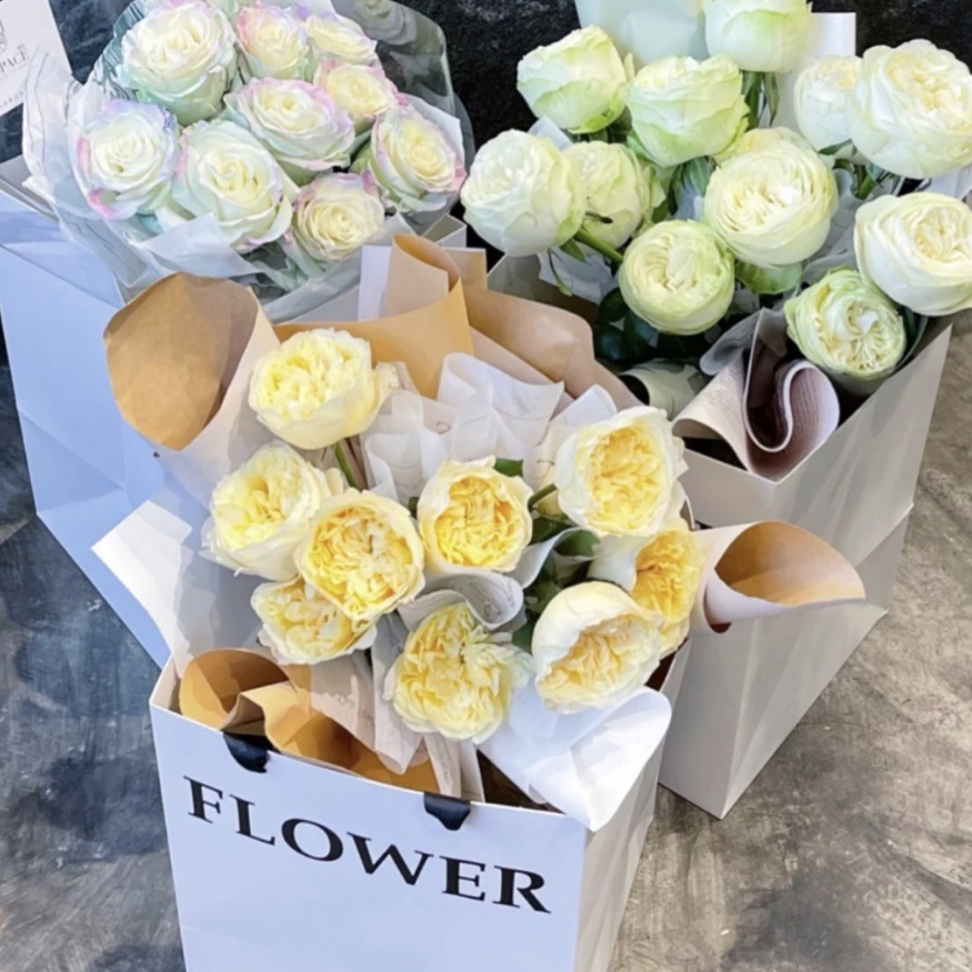 รูปภาพ 5