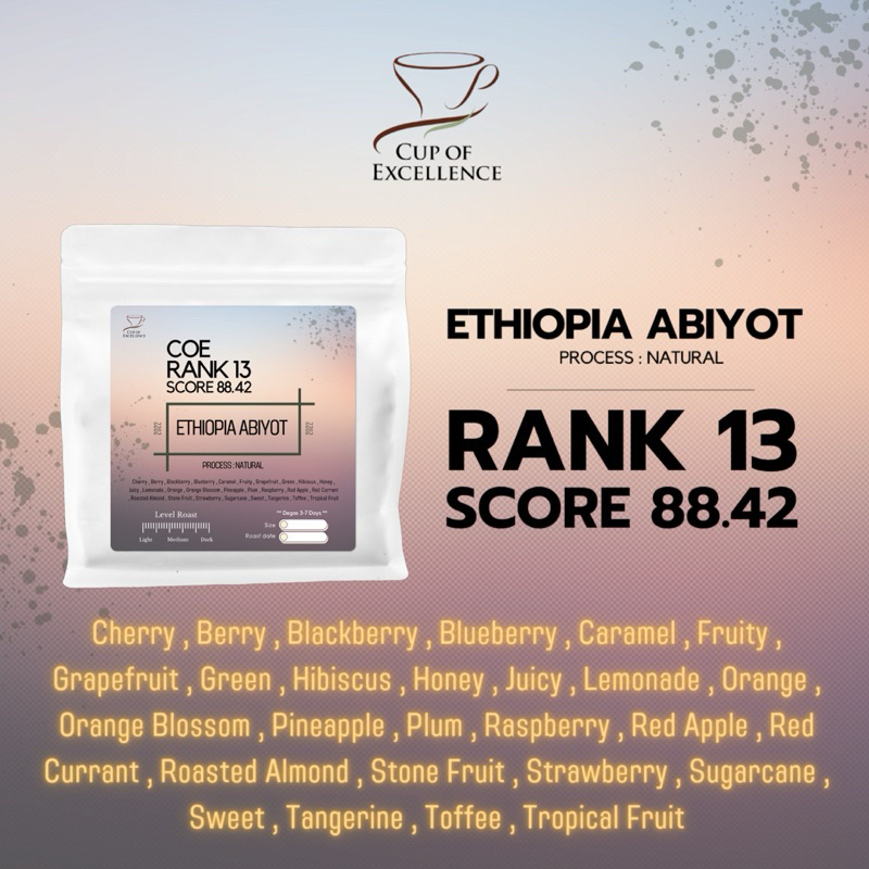 เมล็ดกาแฟ Abiyot Ethiopia Rank13 COE