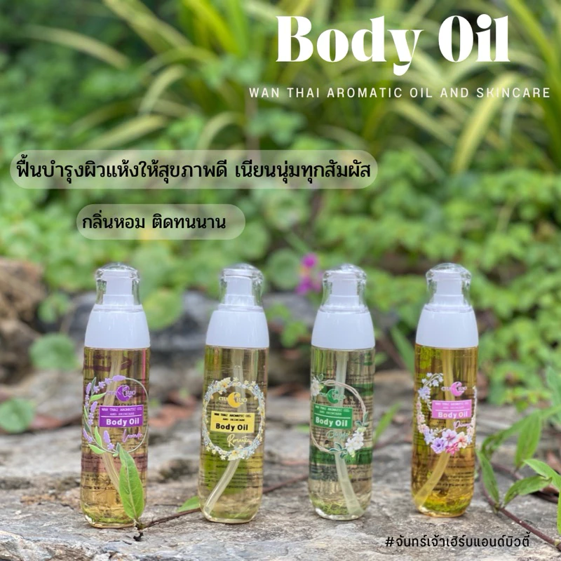 Body oil บอดี้ออยว่านไทยอโรมาติกออยแอนด์สกินแคร์ thumbnail 3