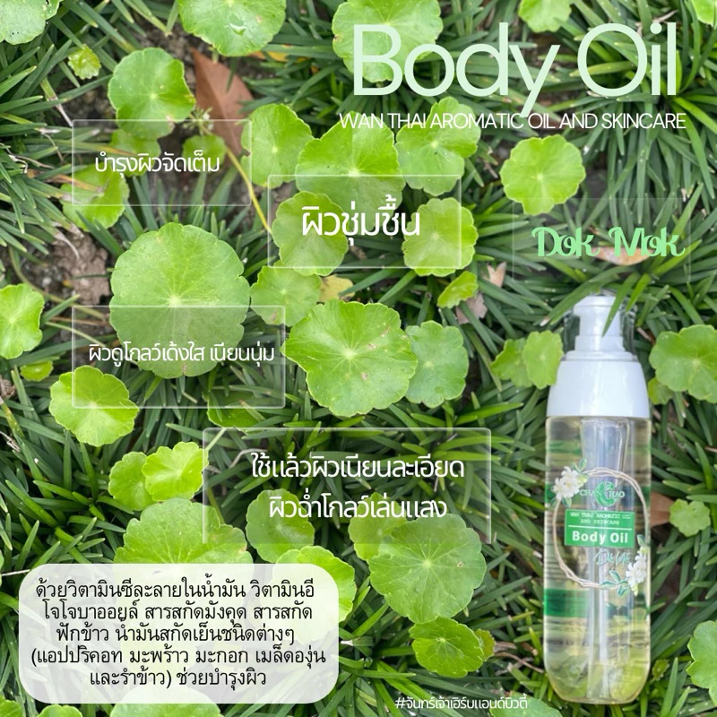 Body oil บอดี้ออยว่านไทยอโรมาติกออยแอนด์สกินแคร์ thumbnail 8