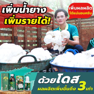 [ร้านค้าบริษัท] หัวเชื้อเพิ่มเปอร์เซ็นยาง ขาวข้น [1ขวด] โดสซีโอทู Doseฮอร์โมนพืช