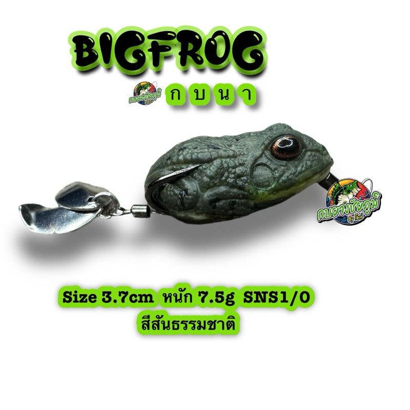 ( กบนา) เหยื่อตกปลาช่อน