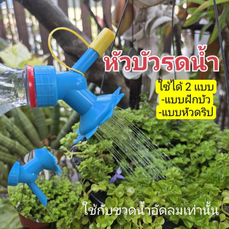 หัวฝักบัวรดน้ำ 2 in 1 ขนาดเล็ก มีทั้งหัวบัวและหัวดริป สำหรับติดขวดน้ำอัดลม คละสี
