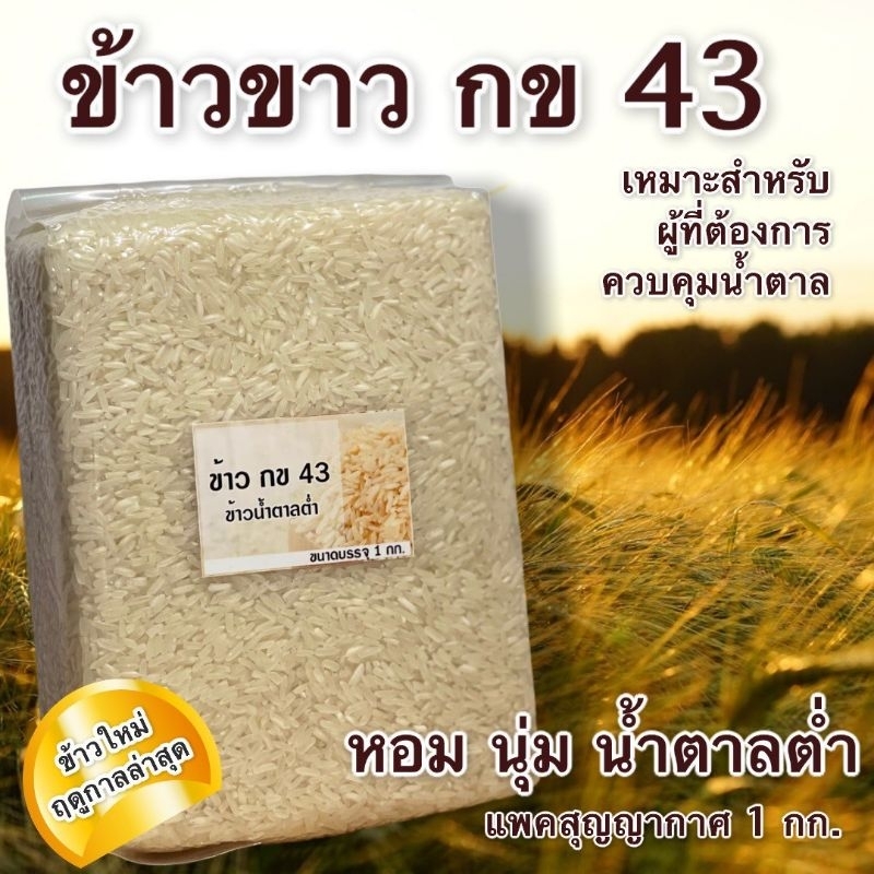 ข้าวขาว กข43 ข้าวเพื่อสุขภาพ