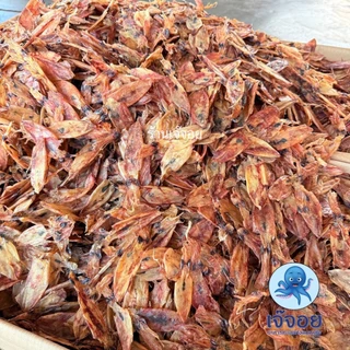 หมึกตัวเล็ก ขนาด 250-500 กรัม สดใหม่จากมหาชัย