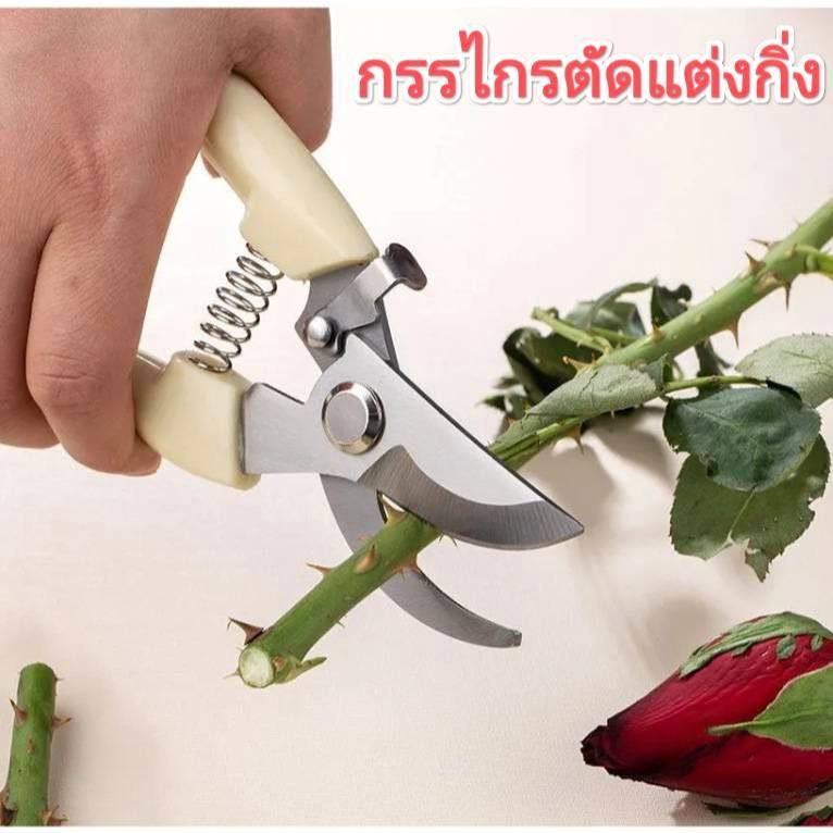 กรรไกรแต่งกิ่ง กรรไกรสแตนเลส กรรไกรสำหรับตัดแต่งกิ่งไม้ ดอกไม้ เครื่องมือจัดทำสวน