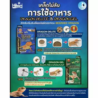 (พร้อมส่ง! ล็อตใหม่ 11/2027) Hikari Herptile Dragon Gel อาหารสัตว์เลื้อยคลาน อาหารกิ้งก่า ที่กินผัก และแมลง (60g)