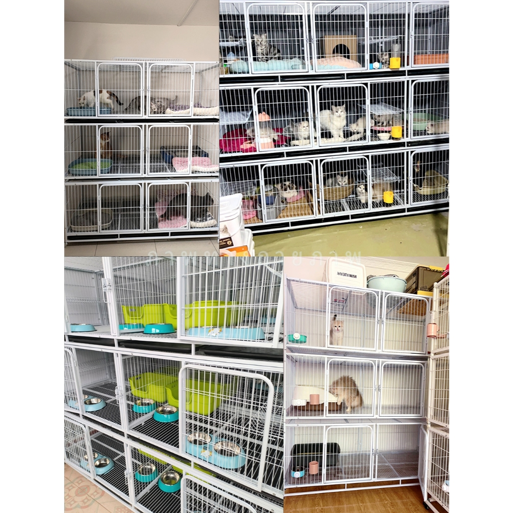 Pawbic🐾กรงแมว กรงสัตว์เลี้ยง DIY กรงแมว3ชั้น กรงสุนัข กรงผสมพันธุ์ หลายชั้น แข็งแรง ทนทาน ประกอบง่าย มีล้อและพาเลท รูปที่ 8