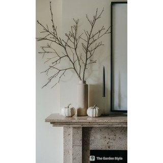 กิ่งไม้แห้ง กิ่งไม้ตกแต่งบ้าน กิ่งไม้ ก้านชู พร้อมส่ง พร๊อพถ…