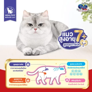 [ใหม่! เลือกรสชาติได้] Ginno Dry Health กินโนะ อาหารเม็ดแมวสูตรสุขภาพ 1.3Kg.