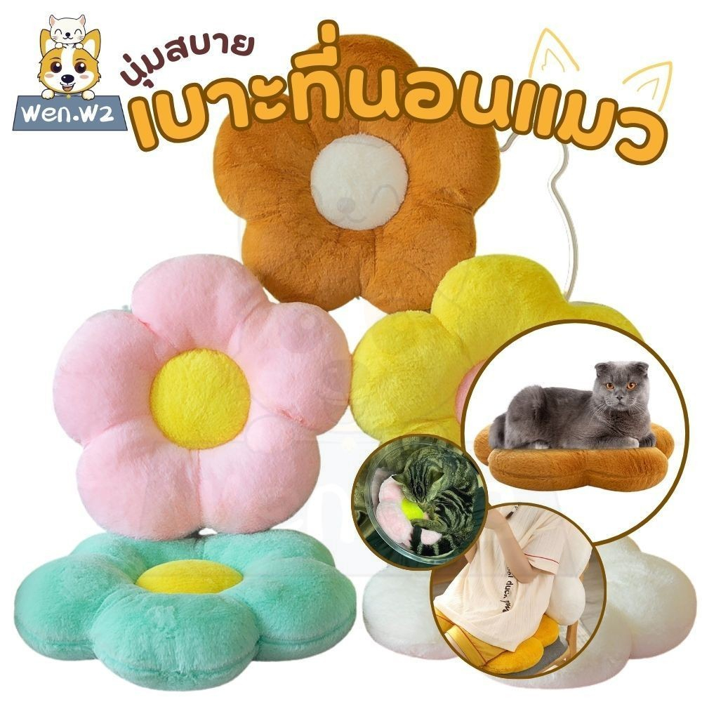 รูปภาพ 9