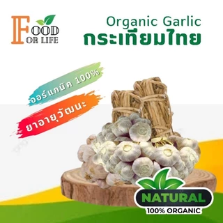 กระเทียมไทย ออร์แกนิค มาตรฐานเกษตรอินทรีย์ ปลอดภัย 100% รสเผ็ดแบบธรรมชาติ สรรพคุณเป็นยาอายุวัฒนะ ทานอาหารเป็นยาดีที่สุด