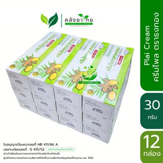 [ยกแพ็ค] ยาครีมไพล ตราธงทอง ธงทองโอสถ  ขนาด 30 กรัม/กล่อง