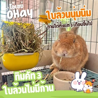 🔥Ohay หญ้ากระต่าย🔥โปรสุดคุ้ม 5 โล 10 โล หญ้าทิมโมธีคัท 1 อัลฟาฟ่า และทิโมธีคัท 3